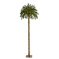 thumbnail image 3 of Nearly Natural 6' Prelit Christmas Palm Artificial Tree, 3 of 9