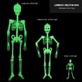 Luminous Skeleton Skeleton Body Tricky Pacifier Months 6 Months Baby luminous-skeleton-skeleton-body-tricky-pacifier-months-6-months-baby