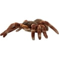 thumbnail image 7 of The Petting Zoo Tarantula Stuffed Animal, Gifts for Kids, Wild Onez Zoo Animals, Tarantula Plush Toy Sitting 12 inches, 7 of 7