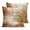 Brown, Rust, Bronze, Gray, variant on Pillow Covers 18x18 Set of 2, Vintage Red Brown Square Throw Pillow Covers for Couch/Sofa/Living Room, Retro Oil Painting Abstract Art Decorative Soft Pillowcases for Couch Throw Pillows