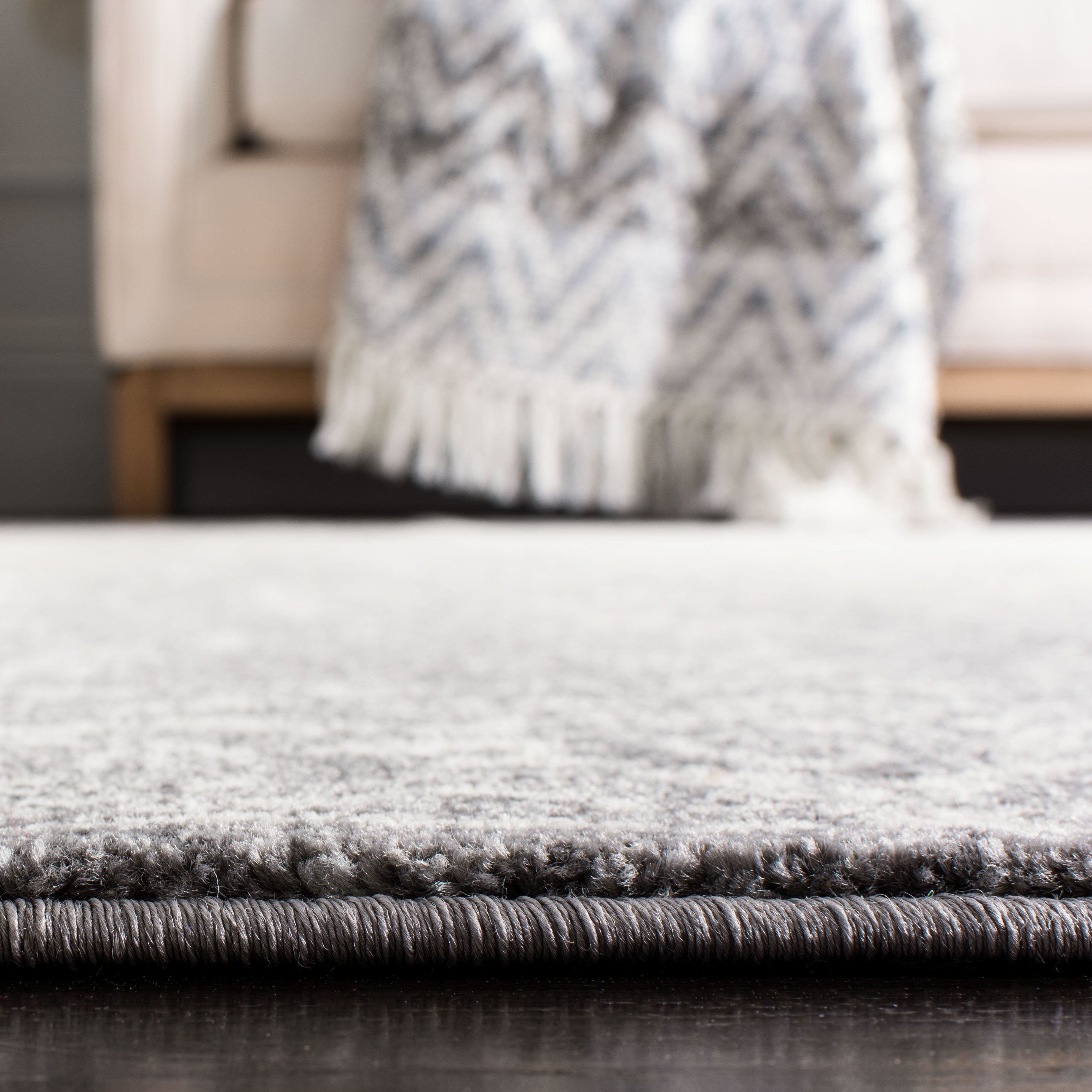 SAFAVIEH Evoke Ronald Bordered Area Rug, Gray/Ivory, 8' x 10'