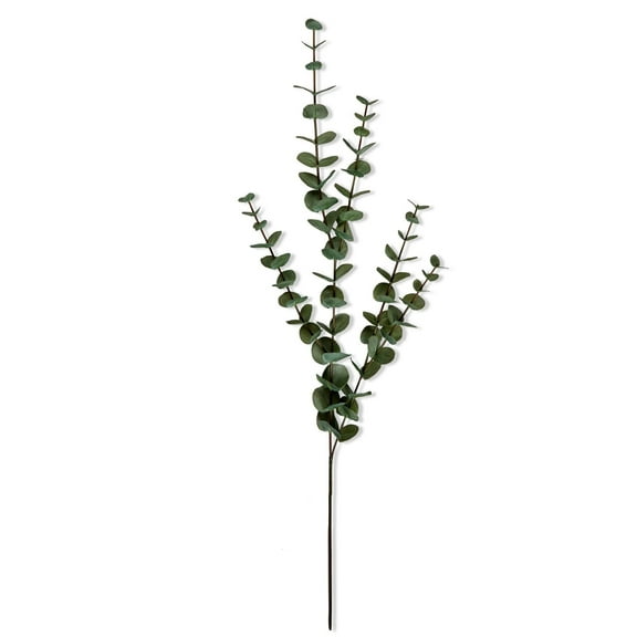 TAG Eucalyptus Stem, Tall (G15371)