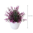 thumbnail image 2 of ZHANQUNE Artificial Potted Plants Small Fake Plants in White Pot, Green Artificial Plants for Home Desk Decor, Low Maintenance Shelf Decor for Living Room Office Bathroom, 2 of 3