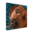 thumbnail image 2 of Trademark Fine Art 'Dlynns Dogs Bunsen' Canvas Art by Dlynn Roll, 2 of 4