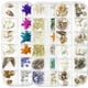 thumbnail image 3 of Decoración de uñas con diamantes de imitación para verano, dijes de uñas oceánicas, conchas de estrella de mar, serie de mar, accesorios de diseño de uñas de playa 3D, manicura DIY, 3 of 4