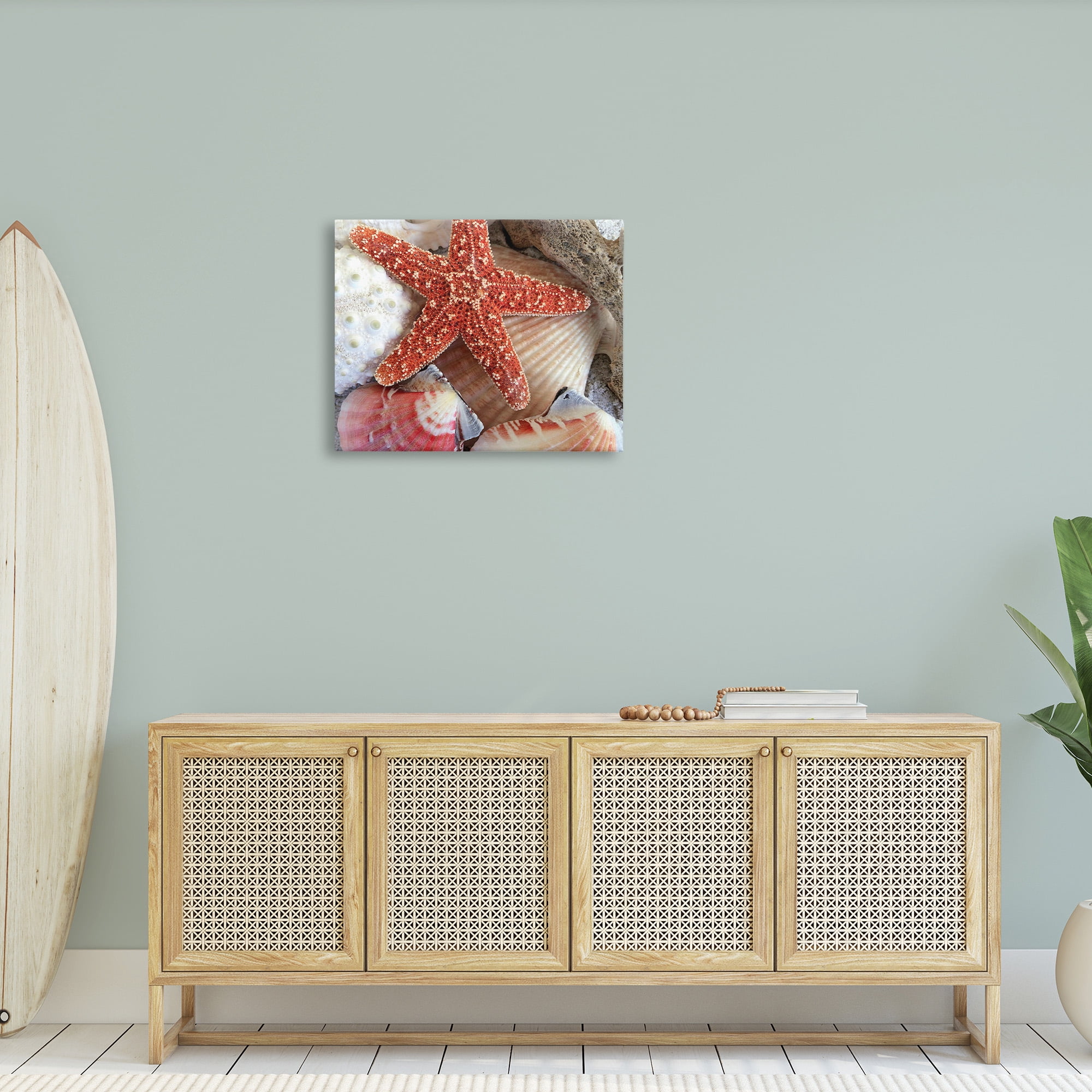 Stupell Industries Various Seashells Ashore Animals & Insects Photography Gallery Wrapped Canvas Art Print Wall Art, 30 x 24