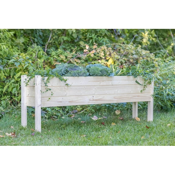 Zylina Raised Elevated Wood Garden Planter Collection - 60"(L) x 12"(W) x 22"(H)
