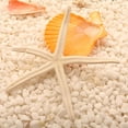 thumbnail image 4 of Wosthever Natural 5-12 cm/10-12 cm dedo blanco estrella de mar mar elegante hogar pelo boda decoración y proyecto artesanal Type3 NO3, 4 of 6