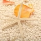 thumbnail image 4 of Estrella de Mar Natural Wosthever 5-10 cm 10-12 cm Decoración, 4 of 6