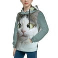 thumbnail image 2 of Kll Unisex Kids Boys Girls Hooded Pocket Pullover Hoodies-Funny Cat, 2 of 9