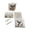 4&A, variant on Clearance! Sea Glass Mosaic DIY Kit - Glass Art Craft Set, Sea Glass for Crafts, Creative Home Decor Activity, Fun Project for All,A