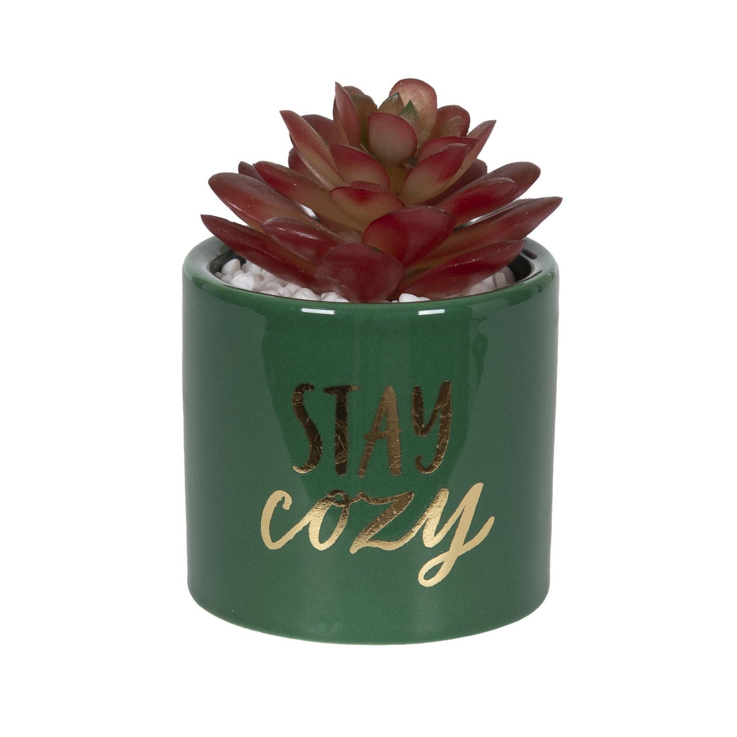 Bice Stay Cozy Mini Faux Succulent