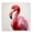 Flamingo Portrait Tropical Nautical Coastal, variant on Stupell Industries Stoic Heron Looking Left Animals & Insects Painting Black Floater Framed Canvas Art Print Wall Art, 18 x 18