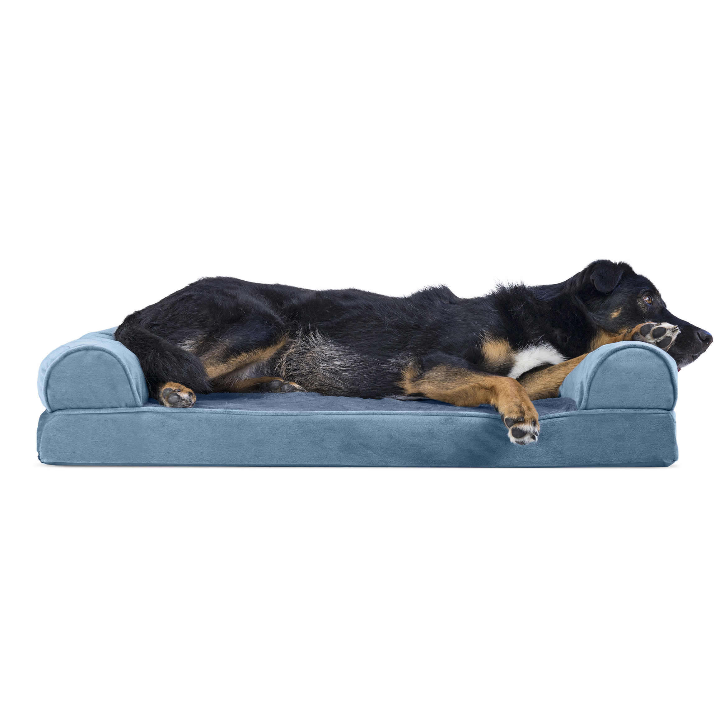 furhaven large dog bed