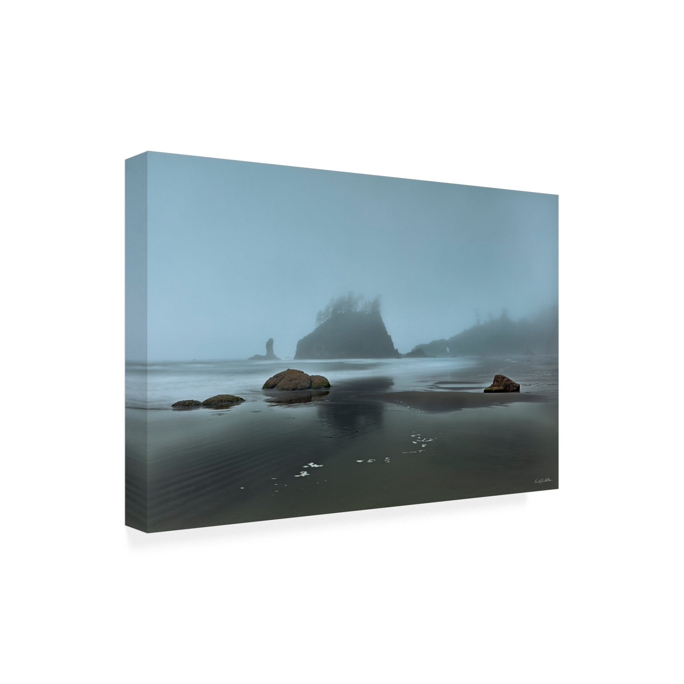 Canvas Wall Art - Kent Burkhardsmeier 'Emerging' Wall Art for Living Room, Bedroom, or Office Décor by Trademark Fine Art - 47 x 30 Inches