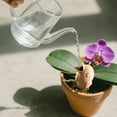 thumbnail image 5 of Automatic Watering Stakes , Self Watering Bird Shaped Irrigation Device , Plastic and Porous Clay Finish , Indoor Potted Plant Care and Home Garden Hydration,7.09 in., 5 of 6