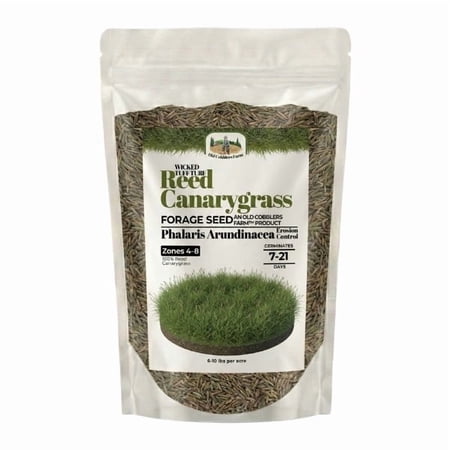 Old Cobblers Farm™ Wicked Tuff Turf Reed Canarygrass (Grasses) 5lbs