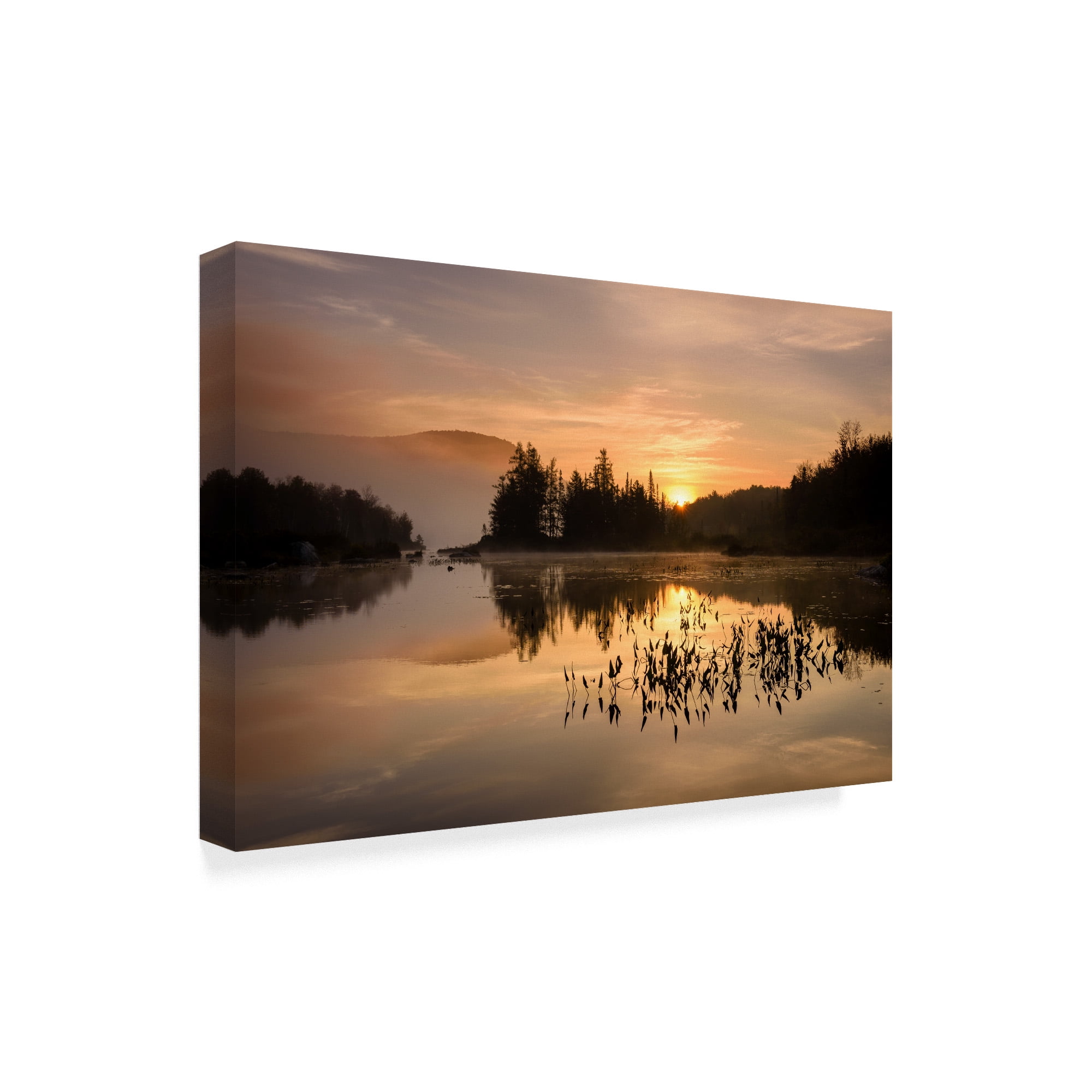 Trademark Fine Art 'Gold On The Mountain' Canvas Art by Michael Blanchette Photography