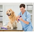 thumbnail image 4 of Electric Pet Nail Grinder by Hertzko – For Gentle and Painless Paws Grooming, Trimming, Shaping, and Smoothing for Dogs, Cats, Rabbits and Birds – Portable & Rechargeable, Includes USB Wire, 4 of 7