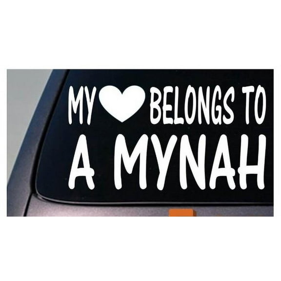 My heart belongs to a Mynah bird *D951* sticker decal