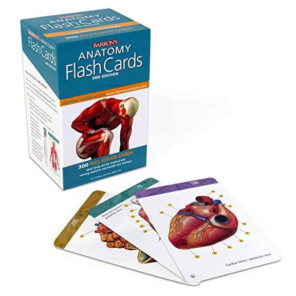 Barron's Test Prep: Anatomy Flash Cards (Other)