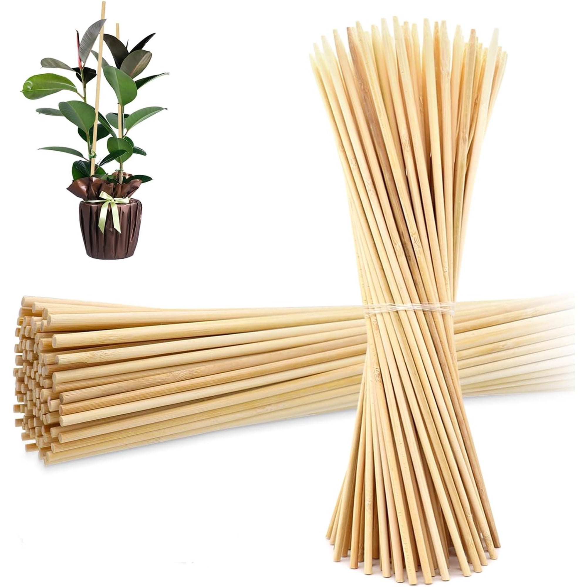 Anewi Natural Bamboo Plant Stakes, Eco-Friendly Garden Support Sticks for Potted Tomatoes, Beans and Climbing Flowers, Indoor Outdoor Wooden Poles, 50PCS