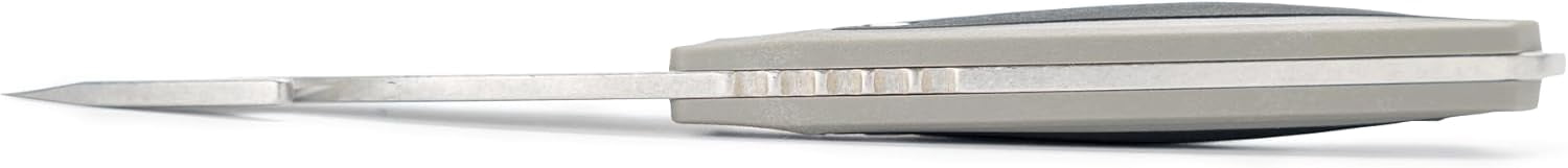 Buck Knives 664 Alpha Hunter Select Fixed Blade Hunting Knife with Guthook, Gray