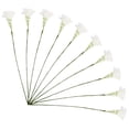 thumbnail image 3 of BERTDOMD 10pcs Highly Simulated Plant Stems Faux Greenery Spray Diy Materials for Bouquet Vase Fillers, 3 of 6