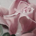 thumbnail image 3 of Masterpiece Art Gallery Rose Glow I & II Pink by Studio Arts Canvas Art Print Set of II 24" x 24", 3 of 4