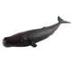 thumbnail image 1 of Vogacara Ballena realista Animal Modelo Educación Juguete para niños Juguetes Educativos cachalote, 1 of 1