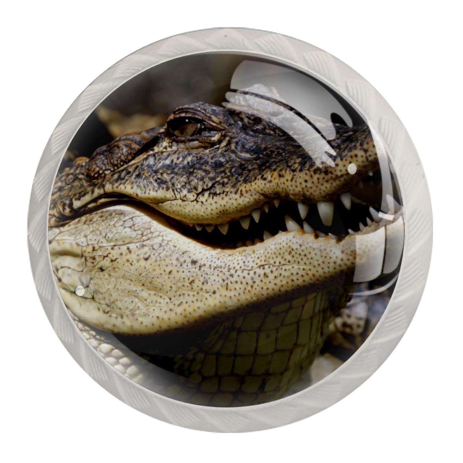 Ownta Crocodile Head Teeth Round Glass Drawer Handles Knobs Pulls with ...