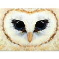 thumbnail image 5 of LaModaHome Non-Slip Rug Owl Carpet: Custom Personalized Owl Design Area Rug Washable Mat Child Stain Resistant Living Room Kitchen Carpet - Size: 4,6X6,6ft(140X200cm), 5 of 5