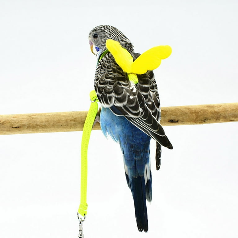 Ultralight Harnesses Wings Flying Rope Parrot Bird Pet Leash Parrots  Cockatoos Strap-type Parakeets Elastic Anti-bite - Walmart.com