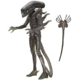 thumbnail image 1 of Alien 40th Anniversary 7 Inch Action Figure | Alien (Giger), 1 of 2