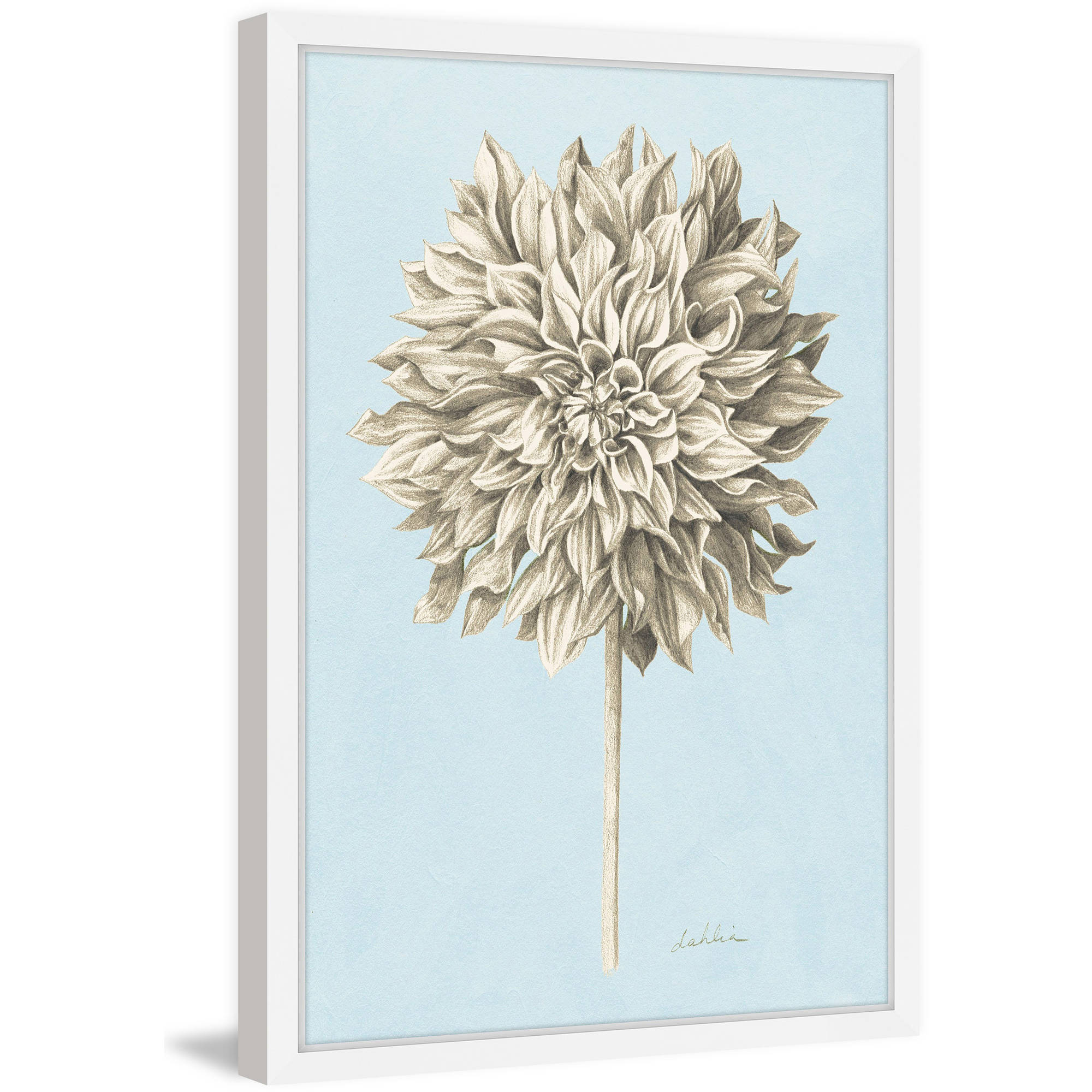 Marmont Hill "Botanical Study III" Framed Painting Print