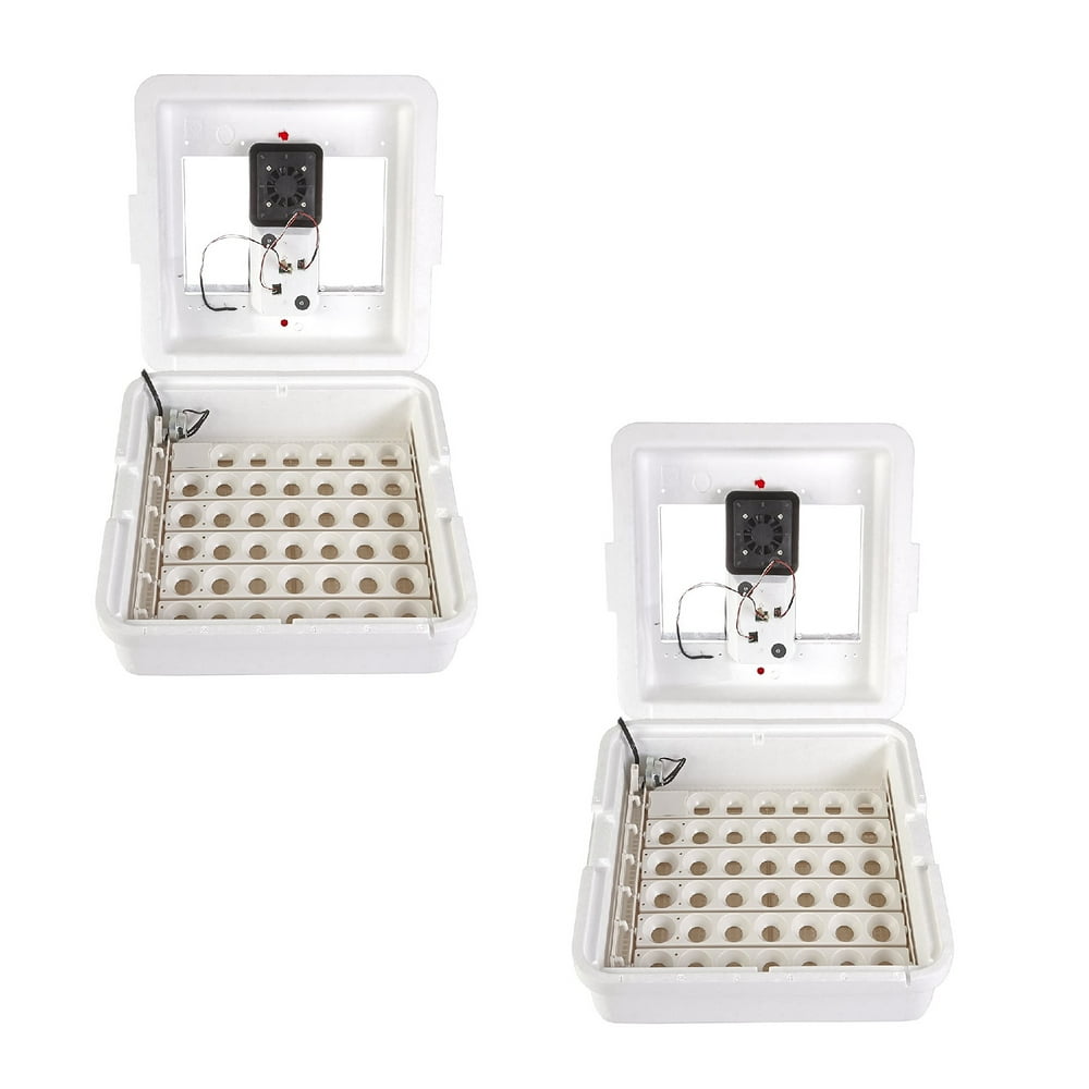 Little Giant 11300 Deluxe Digital Incubator w/ Fan Automatic Egg Turner