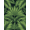 Green, Pattern 17, variant on ODIKA 4' x 6' Machine Washable Non-Slip Area Rug, beachy floral High Traffic Rug, Green, 1151423