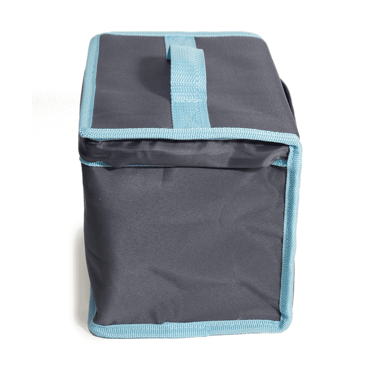 NCVI Breastmilk Cooler Bag with 2 Ice Pack, Breast