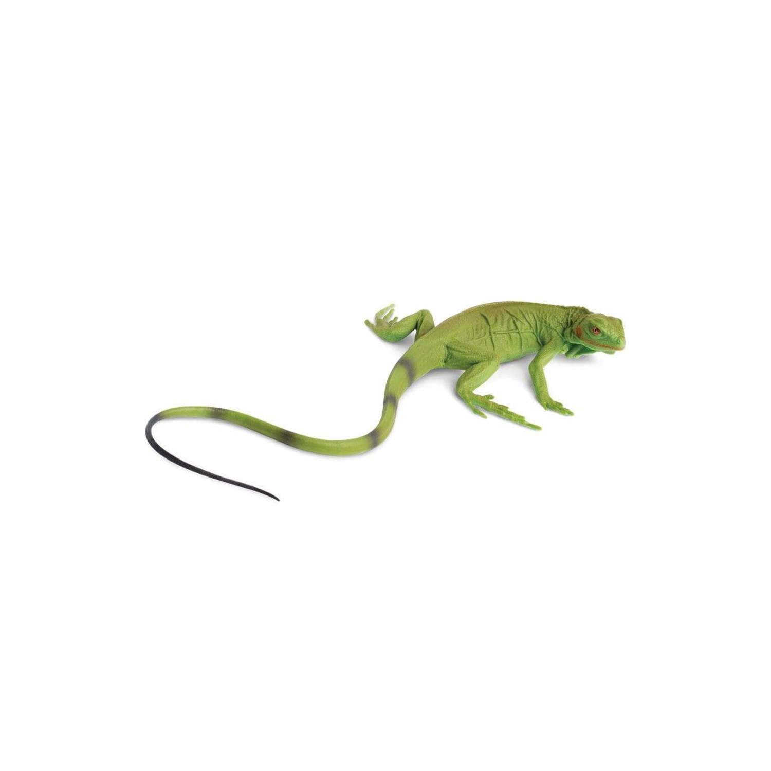 Safari Incredible Creatures Leguan-Baby Figur – Handbemalt, 23,9 Cm, Ungiftig, Für Naturliebhaber & Sammler