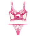 thumbnail image 1 of Conjunto de ropa interior de sujetador con encaje bordado en la espalda, hermoso corsé sexy europeo y americano para mujer, ultrafino, con anillo de acero fruncido, 1 of 6