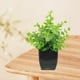 thumbnail image 5 of Plantas decorativas artificiales simuladas de plantas verdes para interiores, arreglos para sala de estar, plantas de plástico en maceta para muebles de TV, 5 of 6