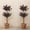Dark brown, variant on DSstyles 5 FT Artificial Ficus Tree Set of 2, Faux Tree with Realistic Leaves and Trunks for Home and Office Decor Indoor and Outdoor Use