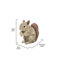 thumbnail image 7 of Hi-Line Gift 87650-I Squirrel Driftwood Look, 7 of 7