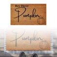 thumbnail image 3 of SIfdSeng Get it Fast Funny Doormats Welcome Fall Pumpkin Thanksgiving Floor Mats Welcoming Front Porch Decorative Doormats for Entry Way Rugs with Heavy Duty, 3 of 7