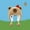 Brown, variant on Cute Capybara Plush Hat For Women Winter Warm Cartoon Cold Proof Pullover Hat Ear Protection Hood Lei Feng Cap Christmas Gifts