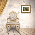 thumbnail image 3 of Pieter Angillis 14x12 Gold Ornate Wood Frame and Double Matted Museum Art Print Titled - Scenes from Art Comedy, 3 of 4