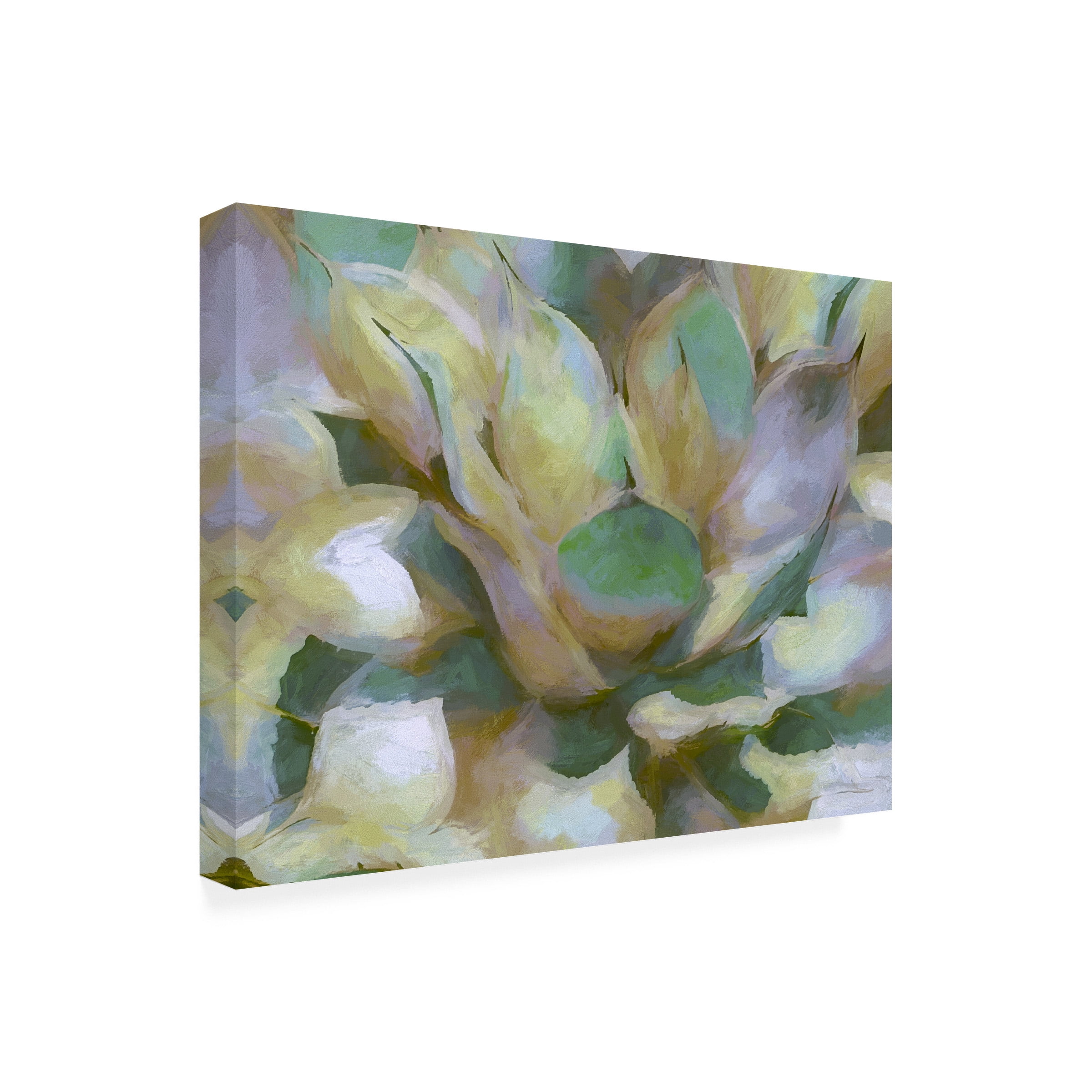 Cora Niele 'Agave Forms II' Canvas Art