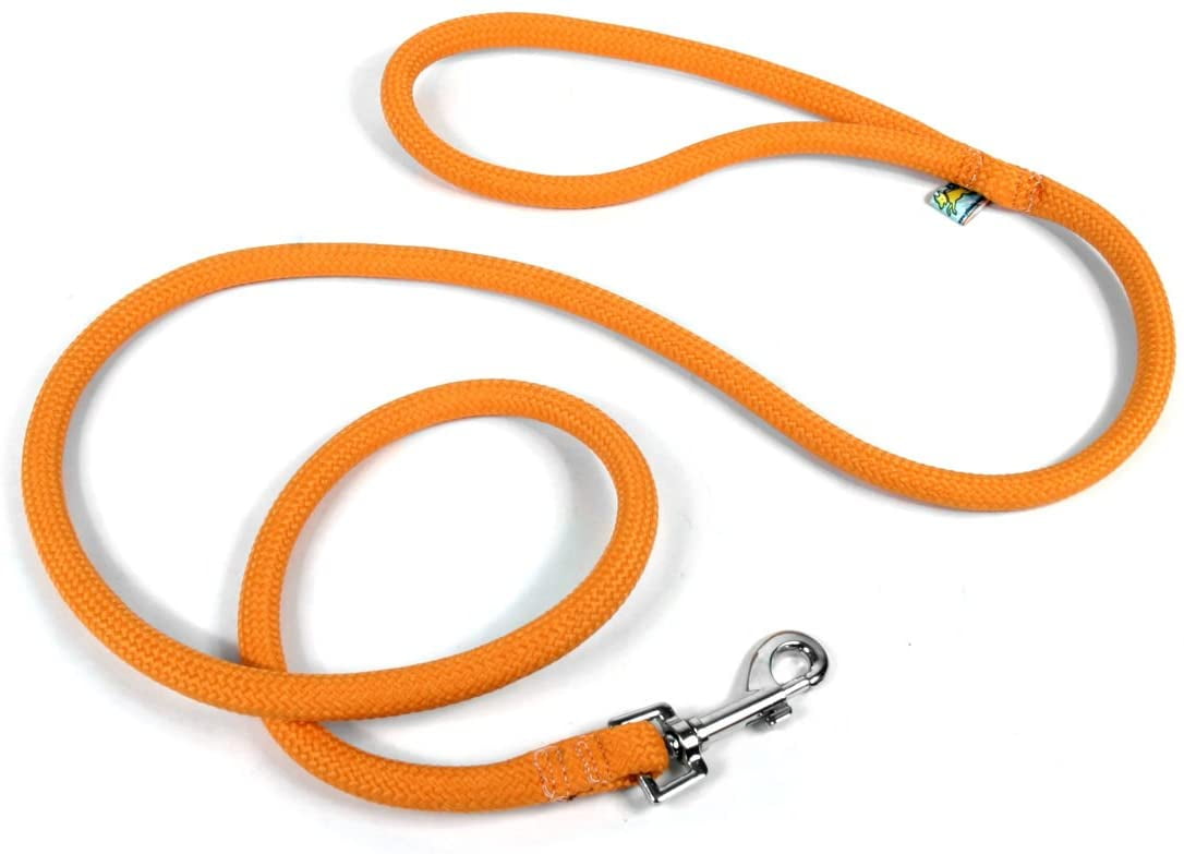 yellow dog design rope leash