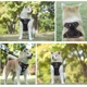 thumbnail image 5 of Pechera Arnes Perro Extragrande Cómoda Ajustable Husky Golde, 5 of 8
