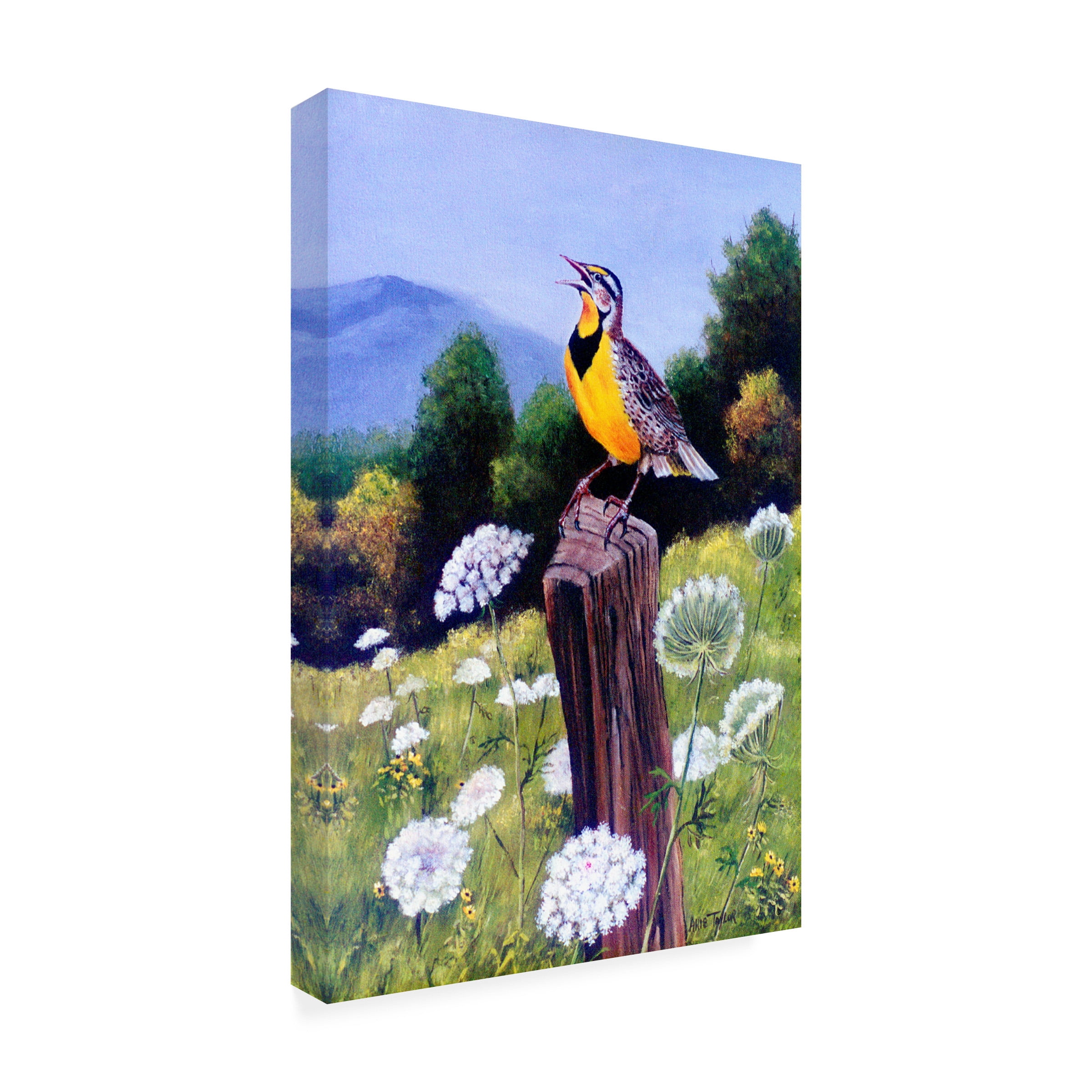 Trademark Fine Art 'Meadowlark' Canvas Art by Arie Reinhardt Taylor
